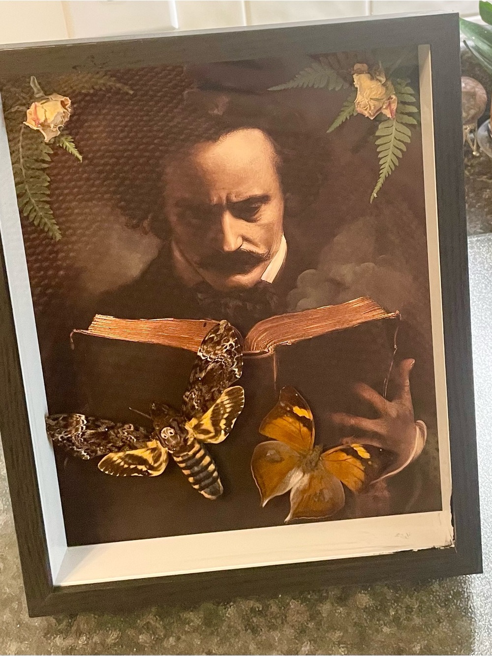 Edgar Allen Poe Shadowbox With Moth Butterfly